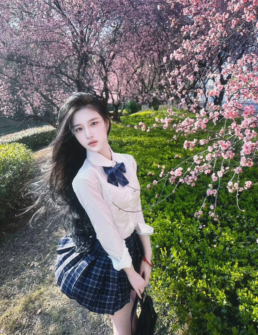 Huihui Gallery
