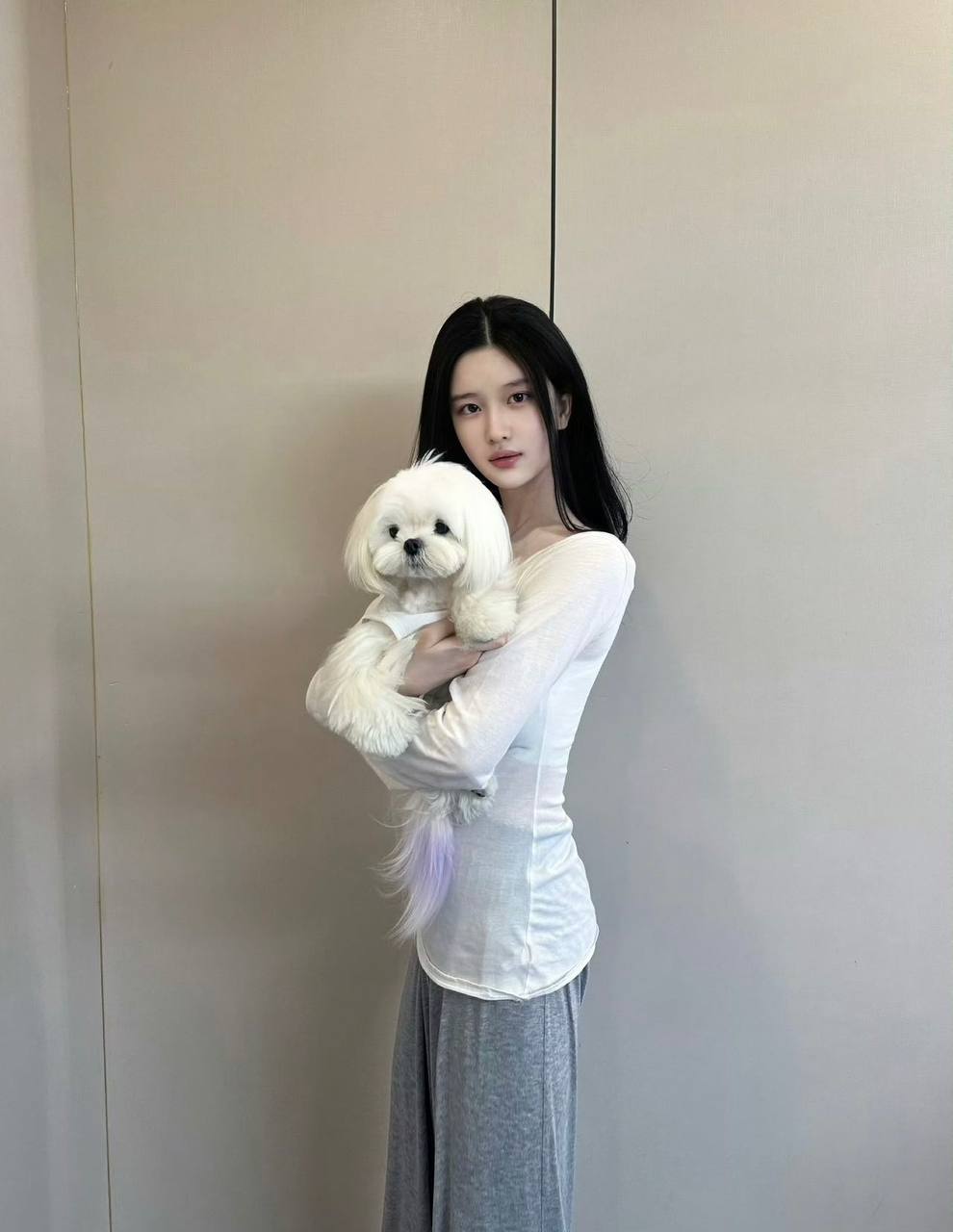 Huihui Gallery